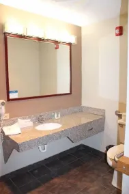 AmericInn by Wyndham Holland MI - Badezimmer