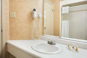 Days Inn by Wyndham Brantford - Salle de bain