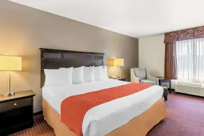 Best Western Legacy Inn & Suites Beloit/South Beloit - Room