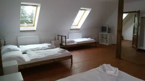 Hotel U Zeleneho stromu - Quarto
