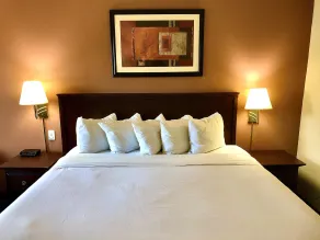 Ramada by Wyndham Spokane Valley - Chambre