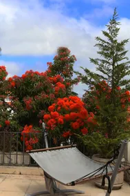 Cosy Sintra - Vue de la chambre