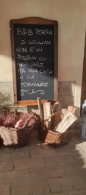 B&B TERRA DI COLLINA biker friendly-pool-sauna-jacuzzi - Reception