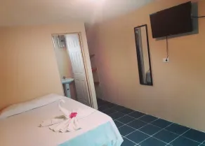 Apartamentos Morpho CR 2 - Room