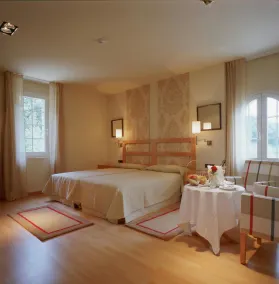 Parador de Vic-Sau - Værelse