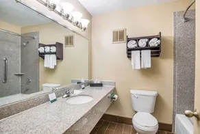 Quality Inn Sweetwater I-20 - Salle de bain