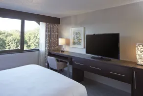 DoubleTree by Hilton Atlanta Perimeter Dunwoody - Chambre