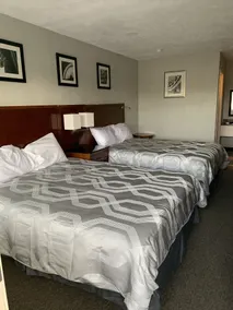 Maple Tree Inn - Værelse