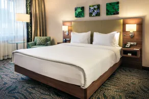Hilton Garden Inn Astana - Room