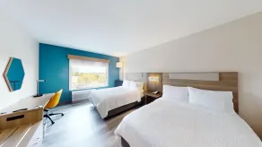 Holiday Inn Express & Suites Chicago Schaumburg by IHG - Rum