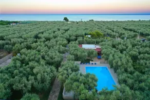 Ferienwohnung ulivo mit Pool und Privatstrand -1 - Piscine