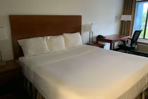 Travelodge by Wyndham Mobile Al - Room
