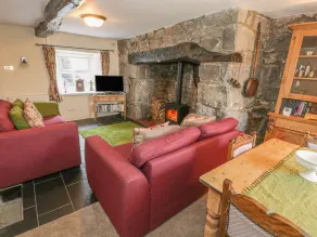 Plas Arenig - Living room