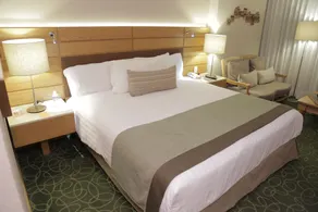Marriott Tuxtla Gutierrez Hotel - Room