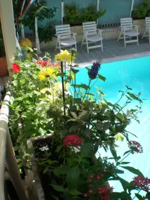 Hotel Arno - Piscine