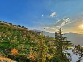 The Morel House - A Forest Retreat - View from room