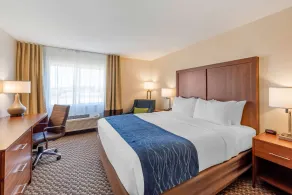 Comfort Inn & Suites near Route 66 - Værelse