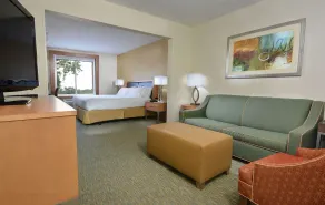 Holiday Inn Express Hotel & Suites High Point South by IHG - Chambre