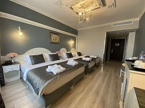 Gülhanepark Hotel & Spa - Room