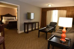 Wyndham Houston near NRG Park - Medical Center - Room