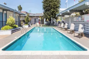 Travelodge by Wyndham San Francisco Airport North - Piscine