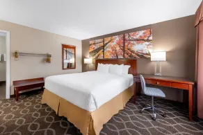 Days Inn by Wyndham St. Robert Waynesville/Ft. Leonard Wood - Chambre