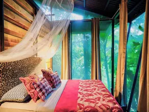 La Shamana - Ecological Concept in Jungle - View from room