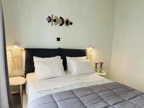 GT Suites - Camera