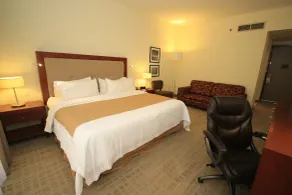 Holiday Inn Leon by IHG - Chambre