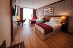 Wellborn Luxury Hotel - Habitación