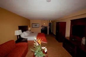 Doubletree by Hilton Hotel Fayetteville - Room