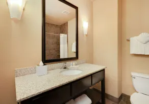 Comfort Suites Arlington - Entertainment District - Salle de bain