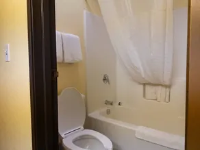 Baymont by Wyndham Battle Creek Downtown - Salle de bain