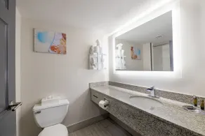 Wingate by Wyndham Atlanta Galleria/ Ballpark - Salle de bain