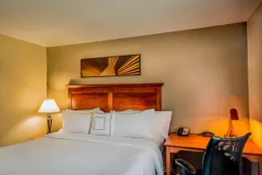 TownePlace Suites by Marriott Baltimore BWI Airport - Room