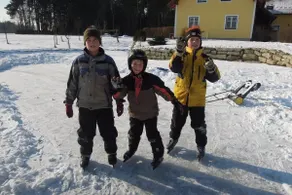 Pension Kibitzhof - Sne- og skisport