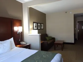 Comfort Suites Johnson City near University - Chambre