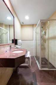 OYO Hotel Francabel - Bathroom