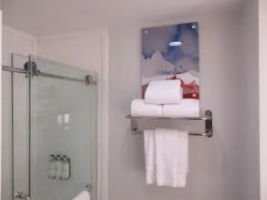 Best Western Premier Houston Downtown/Convention Center Hotel - Salle de bain