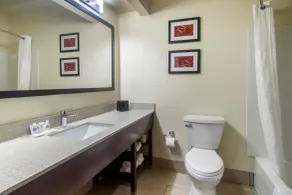 Comfort Suites Danville - Salle de bain
