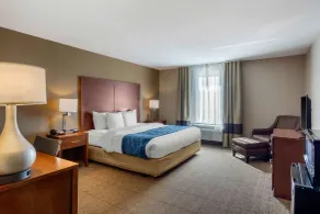 Comfort Inn South Chesterfield - Colonial Heights - Chambre
