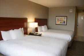 DoubleTree by Hilton Kansas City - Overland Park - Chambre