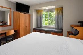 Microtel Inn & Suites by Wyndham Ann Arbor - Room