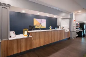 Spark by Hilton Brandon - Recepción