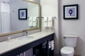 Comfort Suites Kennewick at Southridge - Salle de bain