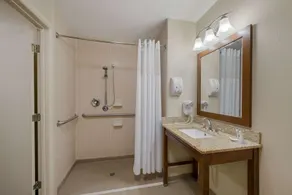 Comfort Inn Fayetteville I-95 - Bathroom