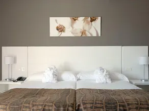 Hotel Balneario Alhama de Aragón - Chambre