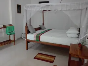 Turtle Paradise - Chambre