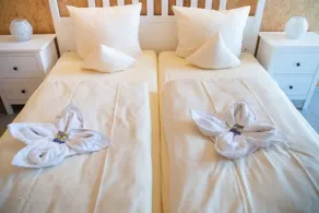 Hotel Vicinity - Room