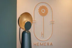 Hôtel Hemera - Reception
